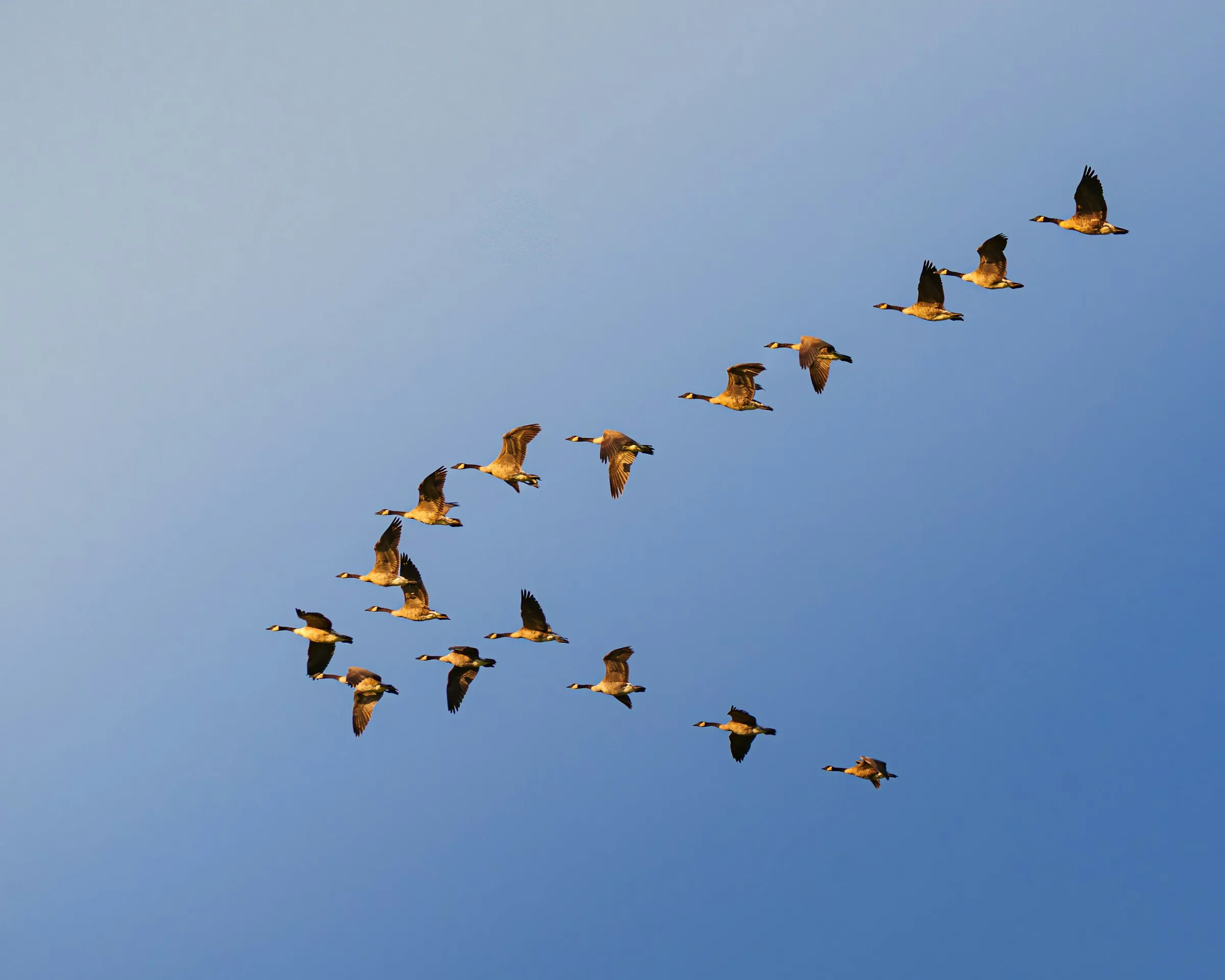 Cloud-Migration